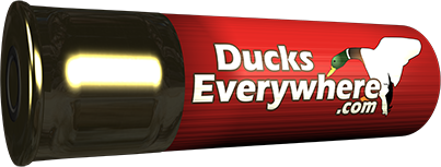 Ducks Everywhere